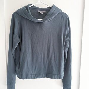 Free Fly Women’s Bamboo Fleece Hoodie Blue Lightweight Pullover size XS